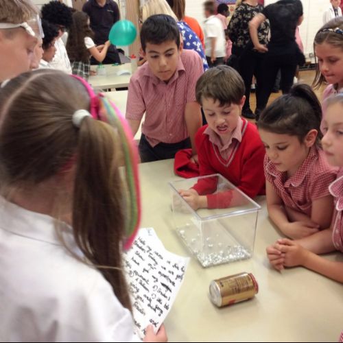 Year 5 & 6 Science Day